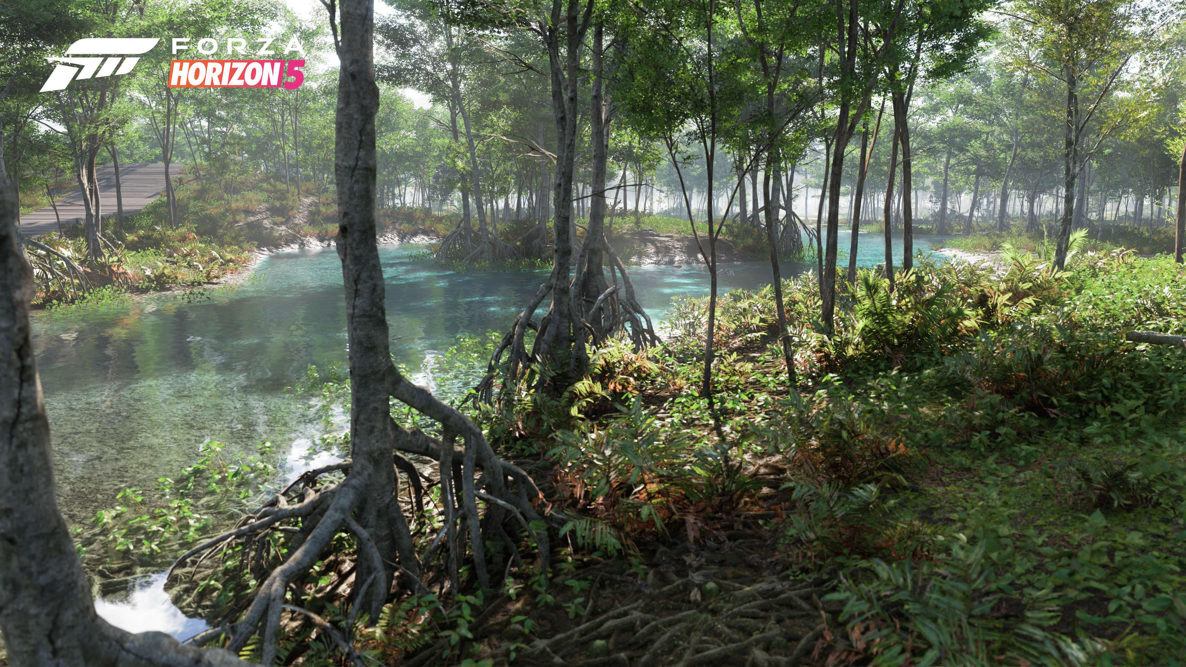 Forest & Lakes