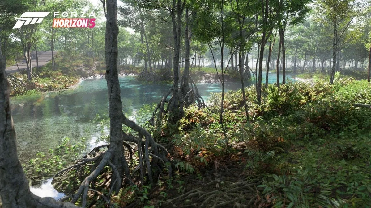 Forest & Lakes